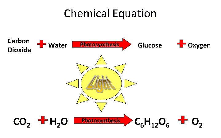 Chemical Equation Carbon Dioxide Water Photosynthesis CO 2 H 2 O Photosynthesis Glucose C