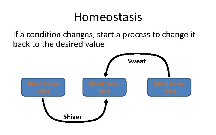 Homeostasis If a condition changes, start a process to change it back to the