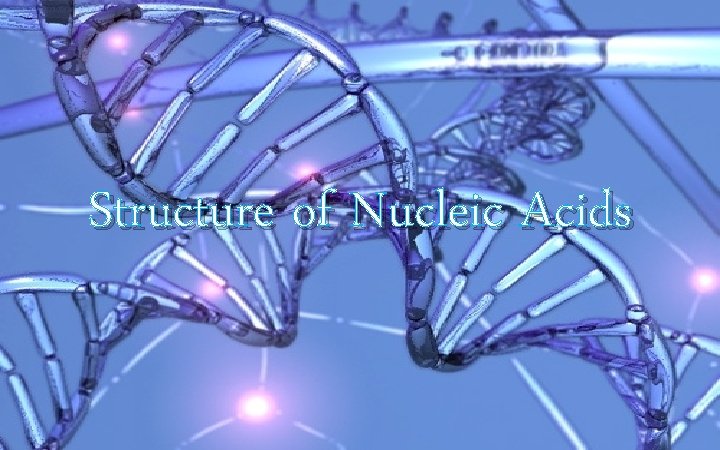 Structure of Nucleic Acids 