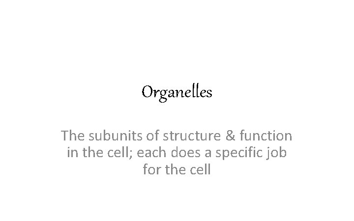 Organelles The subunits of structure & function in the cell; each does a specific