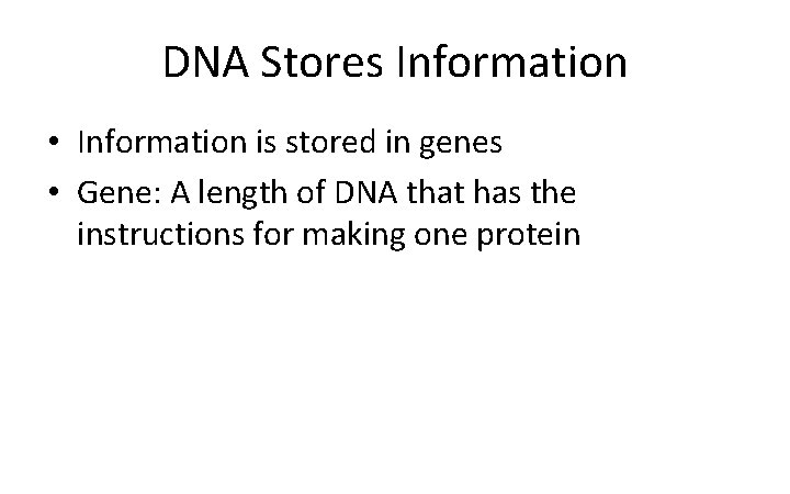 DNA Stores Information • Information is stored in genes • Gene: A length of