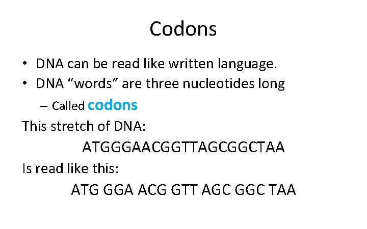 Codons • DNA can be read like written language. • DNA “words” are three