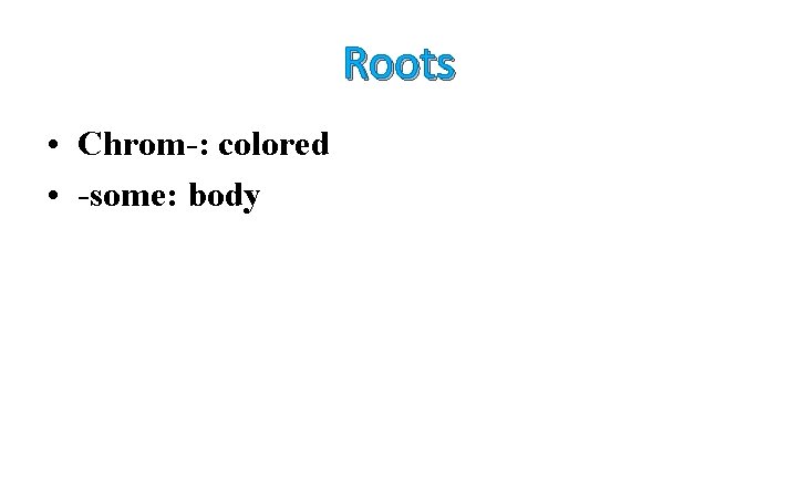 Roots • Chrom-: colored • -some: body 