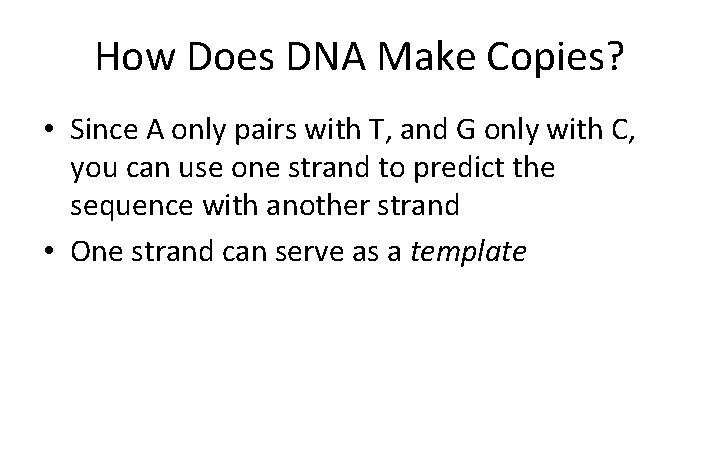 How Does DNA Make Copies? • Since A only pairs with T, and G