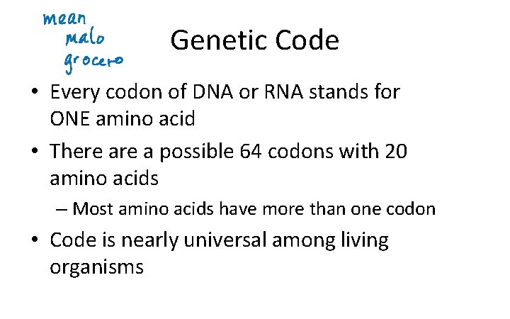 Genetic Code • Every codon of DNA or RNA stands for ONE amino acid