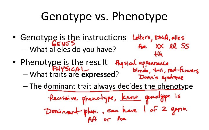 Genotype vs. Phenotype • Genotype is the instructions – What alleles do you have?