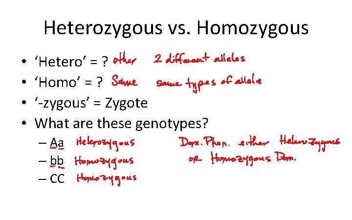 Heterozygous vs. Homozygous • • ‘Hetero’ = ? ‘Homo’ = ? ‘-zygous’ = Zygote