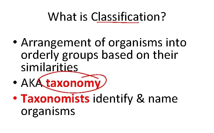 What is Classification? • Arrangement of organisms into orderly groups based on their similarities