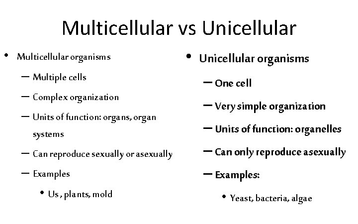 Multicellular vs Unicellular • Multicellular organisms – Multiple cells – Complex organization – Units