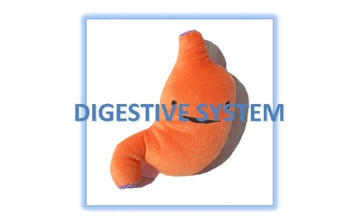 DIGESTIVE SYSTEM 