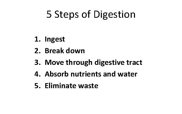 5 Steps of Digestion 1. 2. 3. 4. 5. Ingest Break down Move through