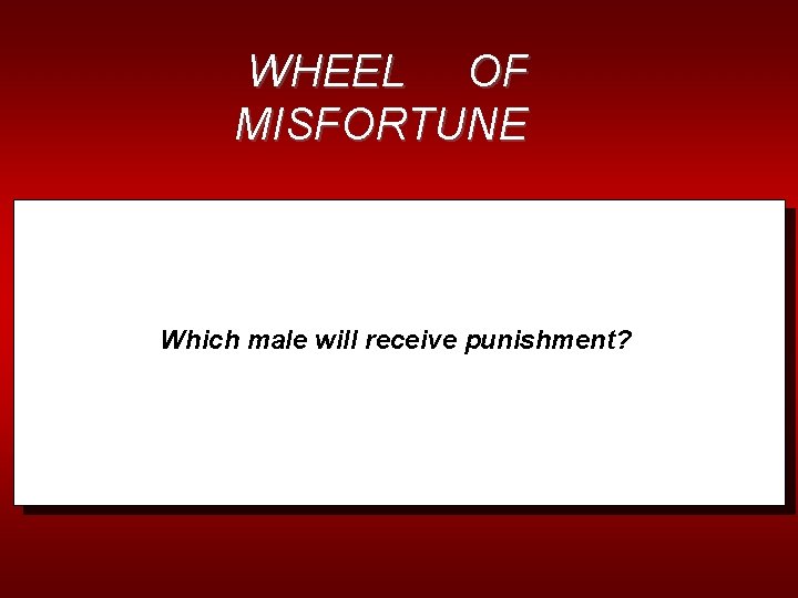 WHEEL OF MISFORTUNE Which male will receive punishment? 