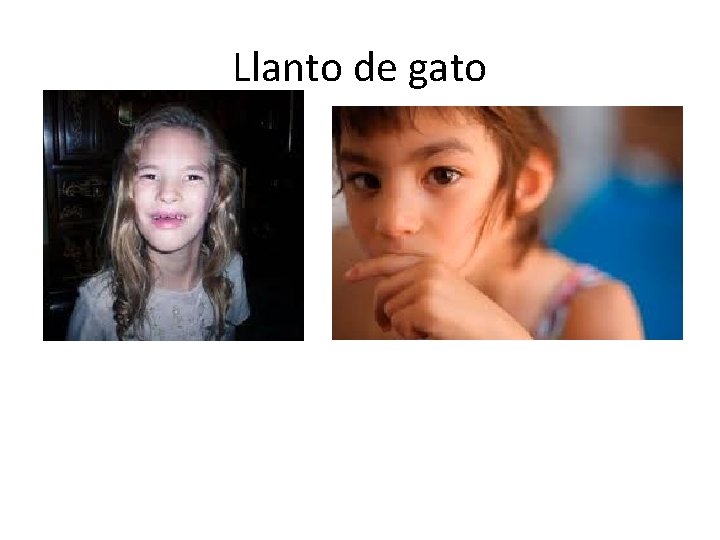 Llanto de gato 