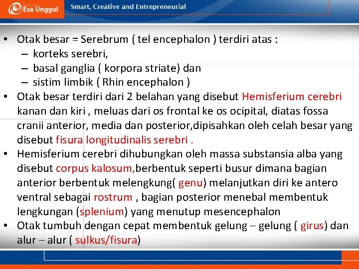  • Otak besar = Serebrum ( tel encephalon ) terdiri atas : –