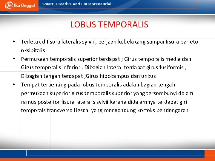 LOBUS TEMPORALIS • Terletak difisura lateralis sylvii , berjaan kebelakang sampai fisura parieto oksipitalis