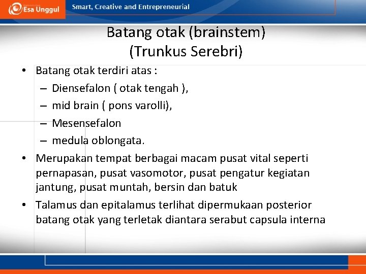 Batang otak (brainstem) (Trunkus Serebri) • Batang otak terdiri atas : – Diensefalon (