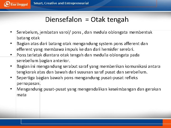 Diensefalon = Otak tengah • Serebelum, jembatan varol/ pons , dan medula oblongata membentuk