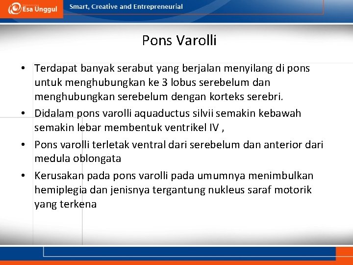 Pons Varolli • Terdapat banyak serabut yang berjalan menyilang di pons untuk menghubungkan ke