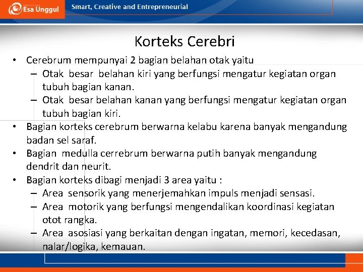 Korteks Cerebri • Cerebrum mempunyai 2 bagian belahan otak yaitu – Otak besar belahan