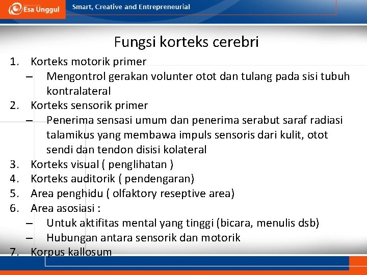 Fungsi korteks cerebri 1. Korteks motorik primer – Mengontrol gerakan volunter otot dan tulang