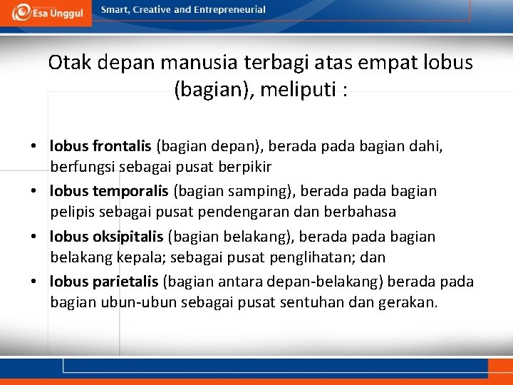 Otak depan manusia terbagi atas empat lobus (bagian), meliputi : • lobus frontalis (bagian