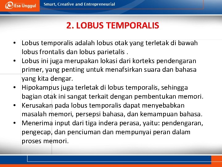 2. LOBUS TEMPORALIS • Lobus temporalis adalah lobus otak yang terletak di bawah lobus
