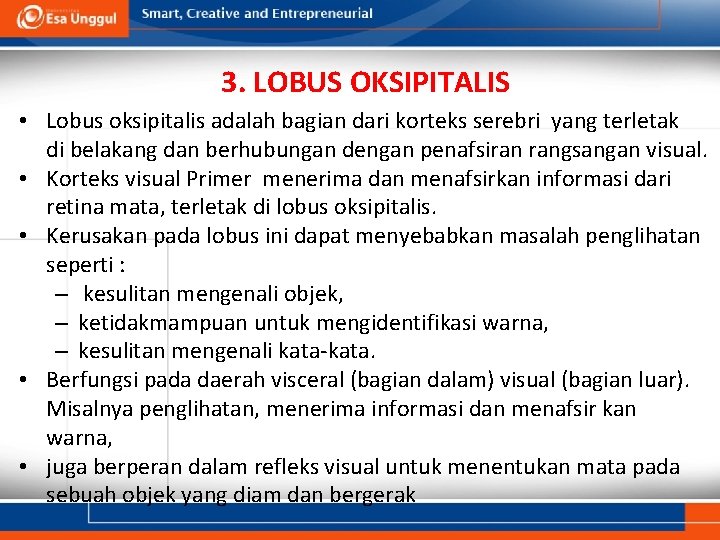 3. LOBUS OKSIPITALIS • Lobus oksipitalis adalah bagian dari korteks serebri yang terletak di