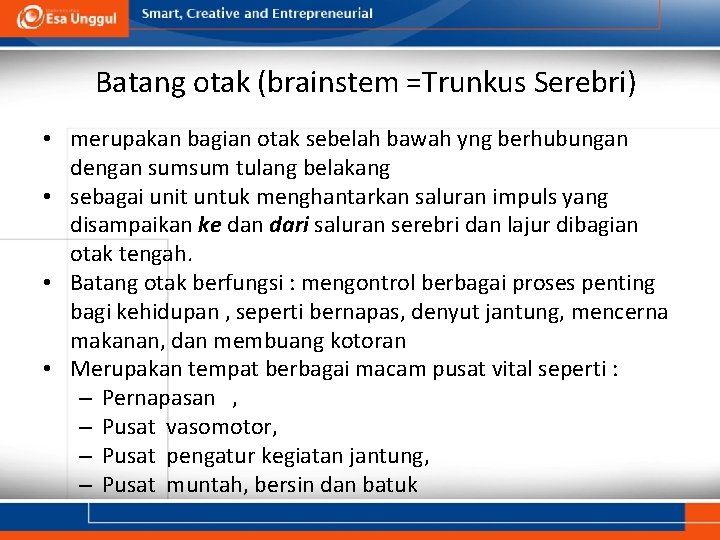 Batang otak (brainstem =Trunkus Serebri) • merupakan bagian otak sebelah bawah yng berhubungan dengan