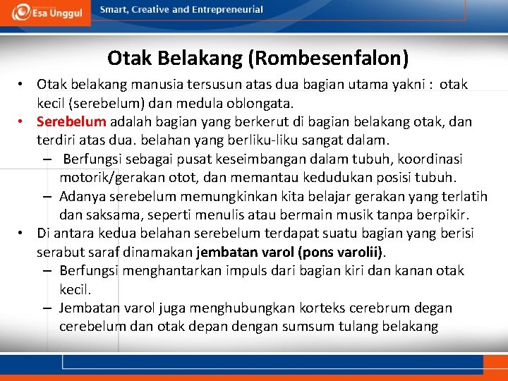 Otak Belakang (Rombesenfalon) • Otak belakang manusia tersusun atas dua bagian utama yakni :