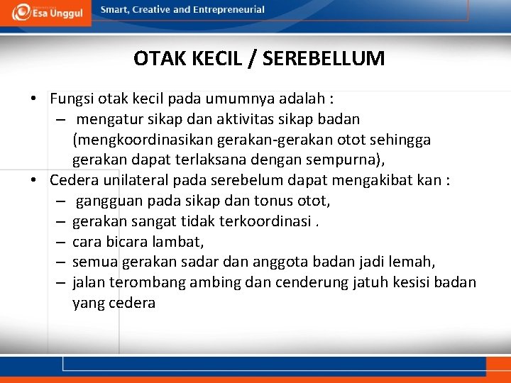 OTAK KECIL / SEREBELLUM • Fungsi otak kecil pada umumnya adalah : – mengatur