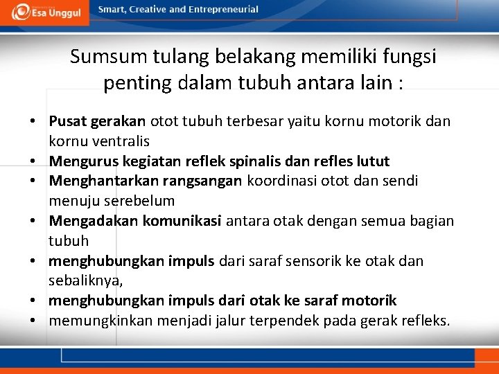 Sumsum tulang belakang memiliki fungsi penting dalam tubuh antara lain : • Pusat gerakan