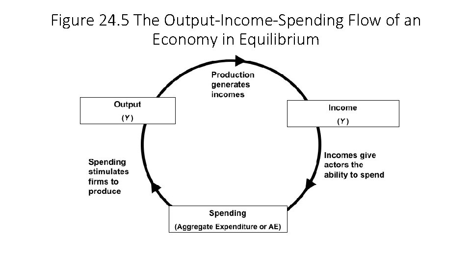 Figure 24. 5 The Output-Income-Spending Flow of an Economy in Equilibrium 