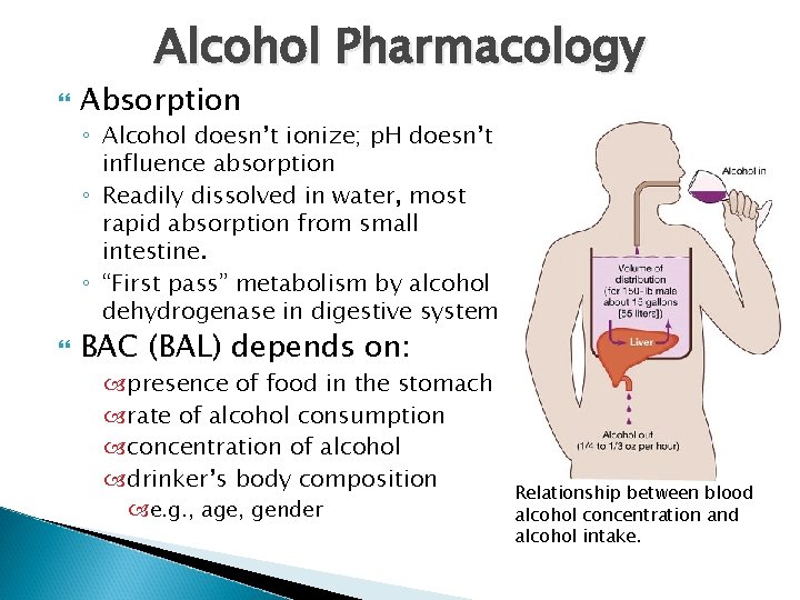 Alcohol Pharmacology Absorption ◦ Alcohol doesn’t ionize; p. H doesn’t influence absorption ◦ Readily