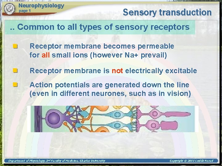 Neurophysiology page 1 Sensory transduction . . Common to all types of sensory receptors