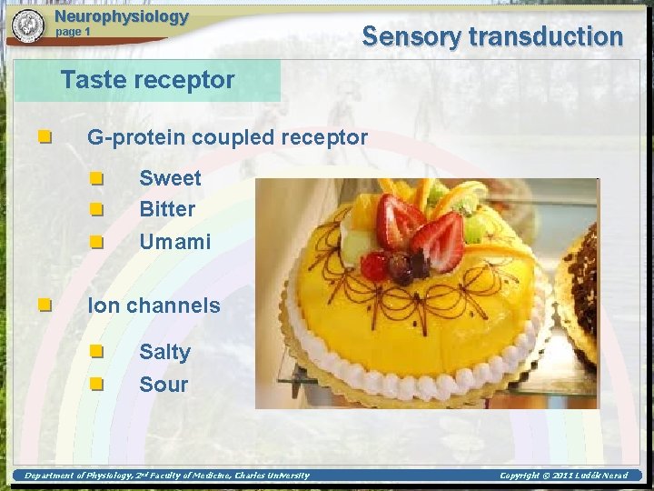 Neurophysiology page 1 Sensory transduction Taste receptor G-protein coupled receptor Sweet Bitter Umami Ion