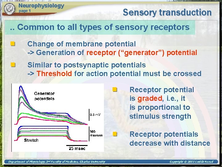 Neurophysiology page 1 Sensory transduction . . Common to all types of sensory receptors