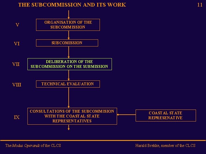 THE SUBCOMMISSION AND ITS WORK V VI VIII IX 11 ORGANISATION OF THE SUBCOMMISSION