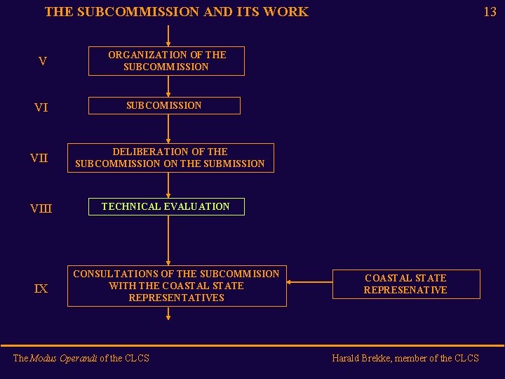 THE SUBCOMMISSION AND ITS WORK V VI VIII IX 13 ORGANIZATION OF THE SUBCOMMISSION