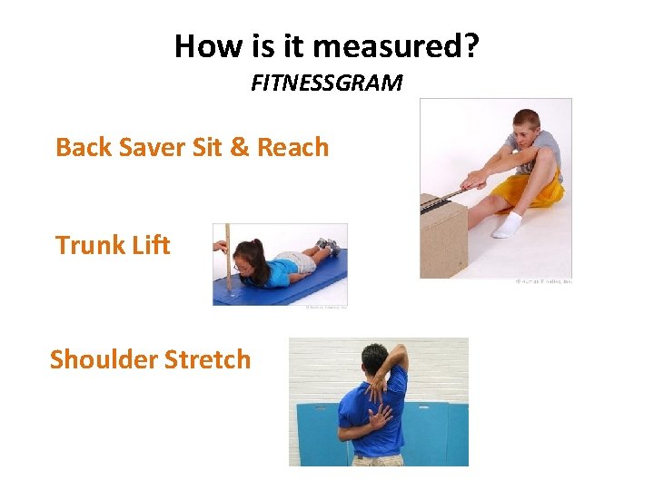 How is it measured? FITNESSGRAM Back Saver Sit & Reach Trunk Lift Shoulder Stretch