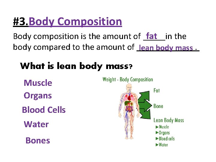 #3. Body Composition fat Body composition is the amount of _____in the body compared