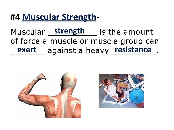 #4 Muscular Strengthstrength Muscular _____ is the amount of force a muscle or muscle