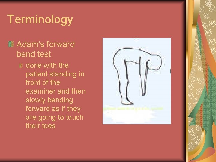 Terminology Adam’s forward bend test done with the patient standing in front of the Terminology Adam’s forward bend test done with the patient standing in front of the
