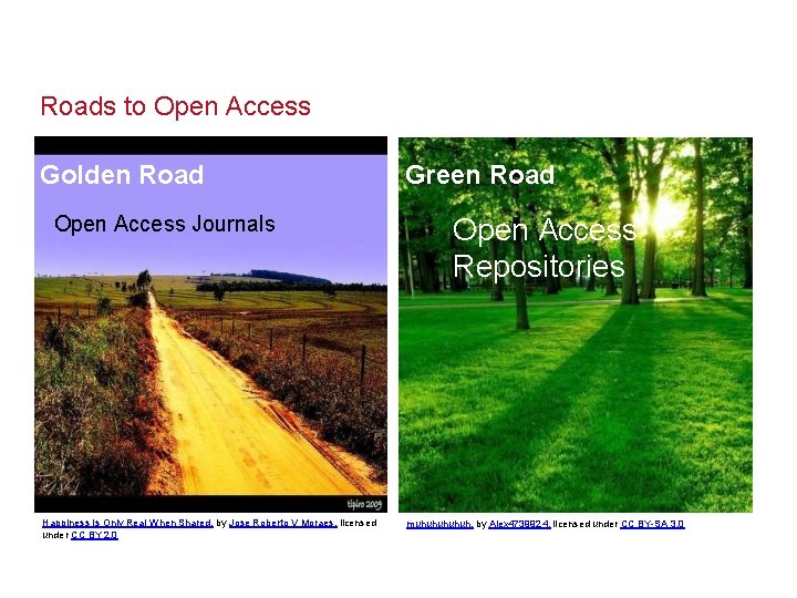 Roads to Open Access Golden Road Open Access Journals Happiness Is Only Real When