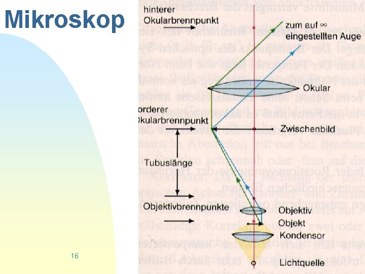 Mikroskop 16 Zurück zur ersten Seite 