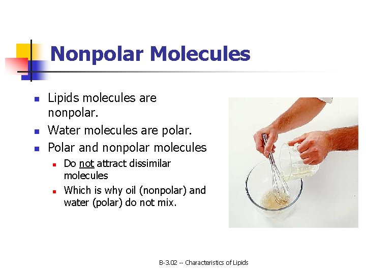 Nonpolar Molecules n n n Lipids molecules are nonpolar. Water molecules are polar. Polar
