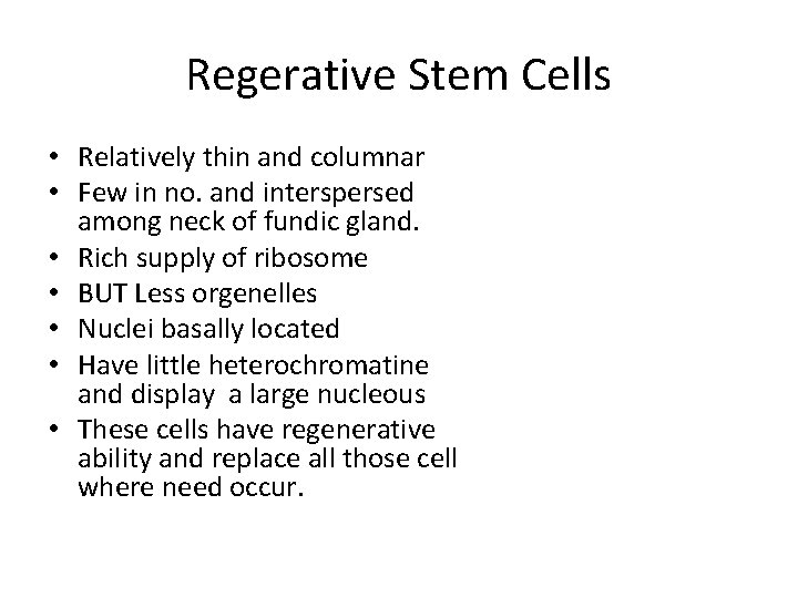 Regerative Stem Cells • Relatively thin and columnar • Few in no. and interspersed