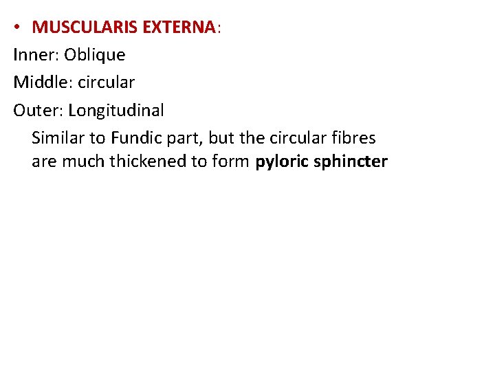  • MUSCULARIS EXTERNA: Inner: Oblique Middle: circular Outer: Longitudinal Similar to Fundic part,