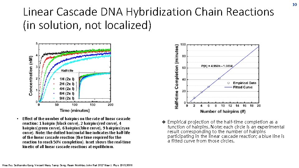 Linear Cascade DNA Hybridization Chain Reactions (in solution, not localized) • Effect of the Linear Cascade DNA Hybridization Chain Reactions (in solution, not localized) • Effect of the