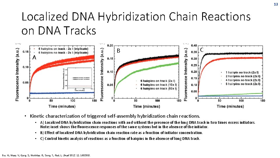 13 Localized DNA Hybridization Chain Reactions on DNA Tracks A B C • Kinetic 13 Localized DNA Hybridization Chain Reactions on DNA Tracks A B C • Kinetic