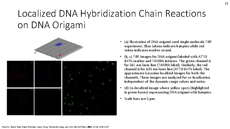 17 Localized DNA Hybridization Chain Reactions on DNA Origami • (a) Illustration of DNA 17 Localized DNA Hybridization Chain Reactions on DNA Origami • (a) Illustration of DNA